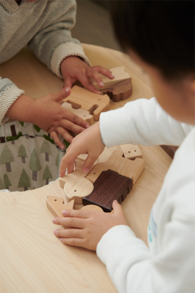 Puzzle Blocks Set Animal