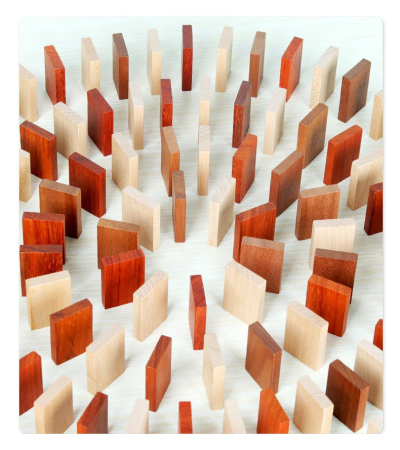 Wooden domino set 100pcs