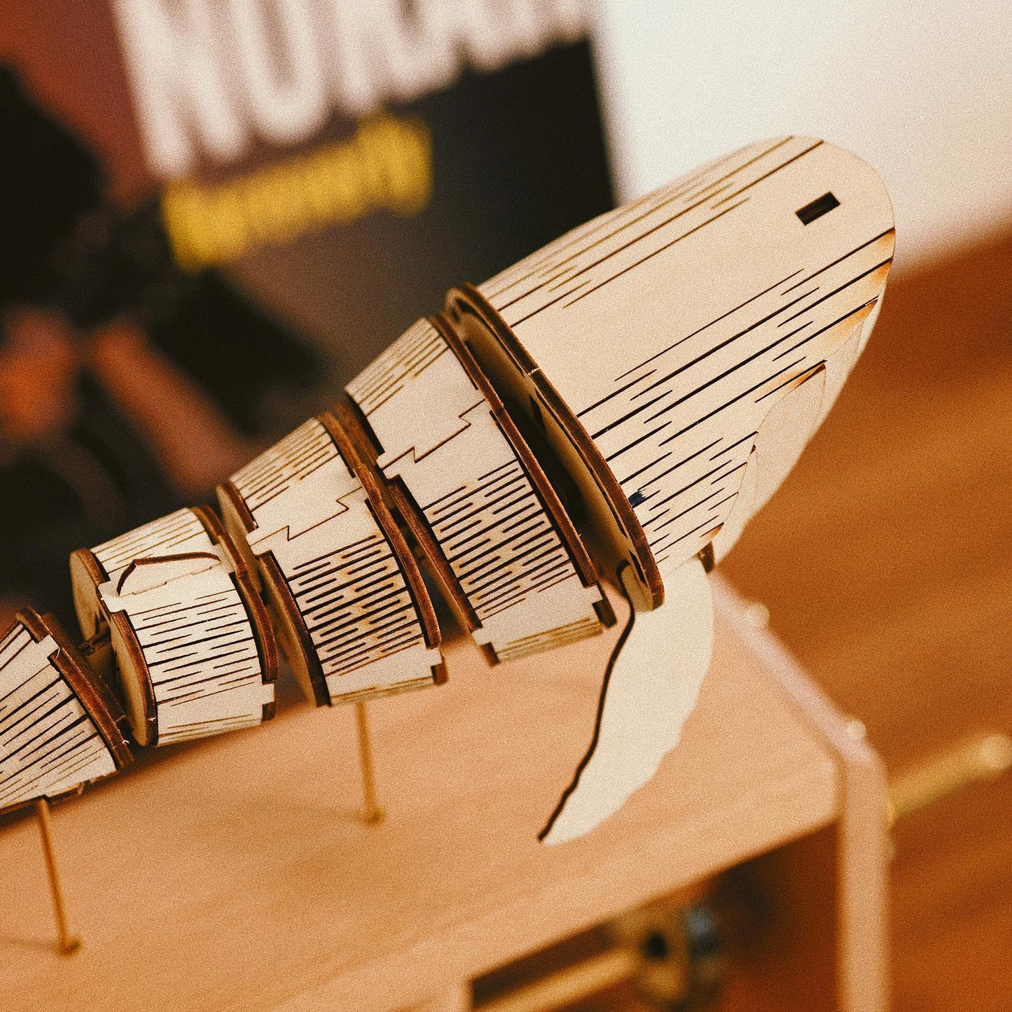 Luxury Hand-Crank Wooden Whale Music Box