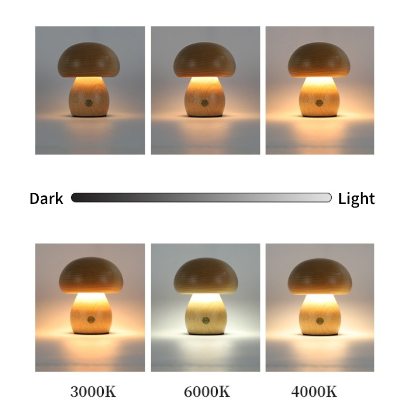 Polished Small  Mushroom Touch Night Lamp